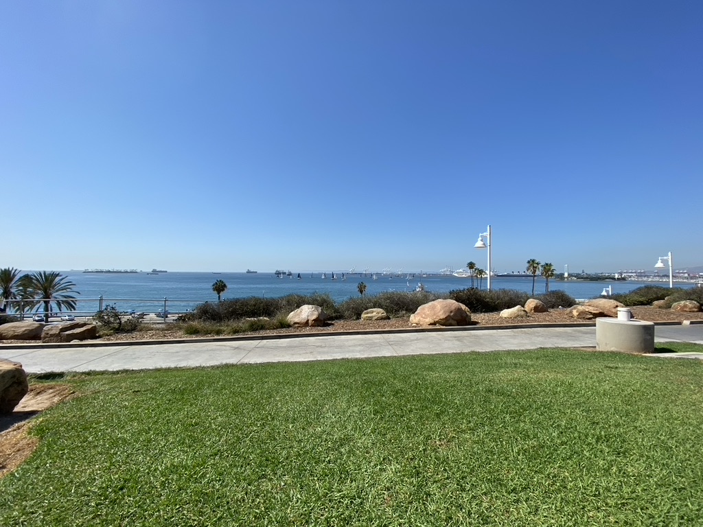 View of the ocean from a park with grass